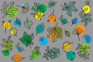 illustration mönster av de löv med cirkel corcle på grå bakgrund. vektor
