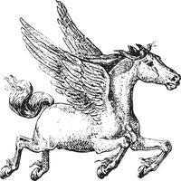 Pegasus, Jahrgang Gravur. vektor