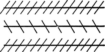 optisch Illusionen, Anzeigen mach Bands, Jahrgang Gravur. vektor