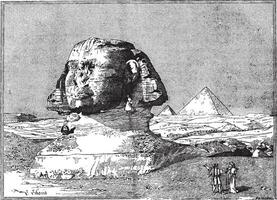 Sphinx, in der Nähe von das Ruinen von Memphis, Ägypten, Jahrgang Gravur. vektor