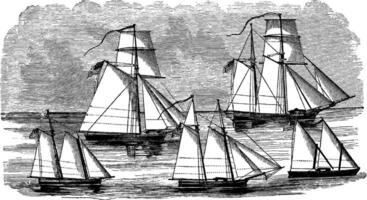 Typen von das 188 Kanonenboote autorisiert im 1809, Jahrgang Illustration. vektor