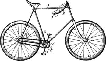 mång ändamål cykel, årgång illustration. vektor