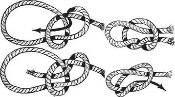 Bulin Knoten, Jahrgang Illustration. vektor