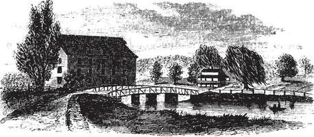 kung bro, årgång illustration. vektor