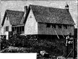 Bischof Patteson Haus im Norfolk Insel, Jahrgang Illustration. vektor