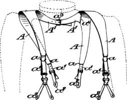 Klammer Stil Hosenträger sind Stoff oder Leder Gurte Jahrgang Gravur. vektor