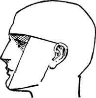 Seite Profil von ein männlich Gesicht Jahrgang Gravur. vektor
