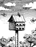 Vogelhaus, Vintage Illustration. vektor