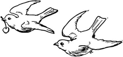 två fåglar, årgång illustration vektor