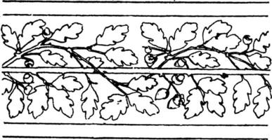 ek gräns bölja band är en vågliknande design av ek löv, årgång gravyr. vektor