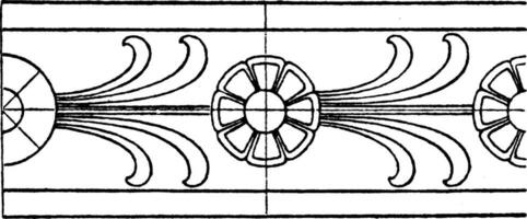 antik rosett band har en dubbel- linje gräns, årgång gravyr. vektor