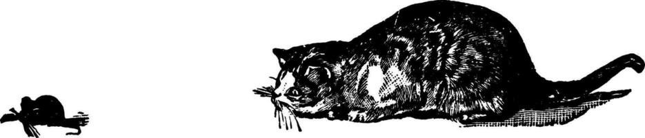 Katze und Maus, Jahrgang Illustration. vektor