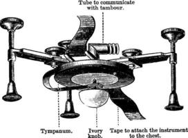 kardiograf årgång illustration. vektor