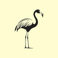 Flamingo Vektor Bilder, Kunst, und Illustration