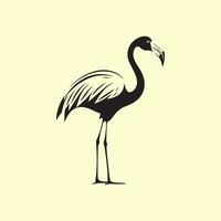 flamingo vektor bilder, konst, och illustration