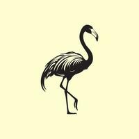 Flamingo Vektor Bilder, Kunst, und Illustration