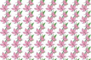 illustration mönster av rosa lilja blomma på vit bakgrund. vektor