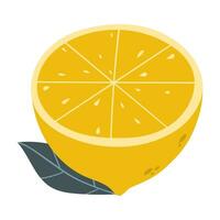 Hälfte von Zitrone Vektor Obst Illustration