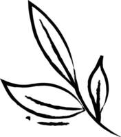 Tee Blätter Hand gezeichnet Vektor Illustration