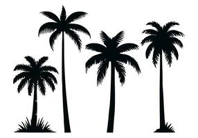 einstellen von Palme Baum Silhouette. tropisch schwarz Urwald Pflanzen. Vektor auf Weiß Hintergrund