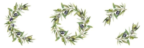 oliv grenar, löv och frukter. uppsättning ramar av grenar oliv träd. krans och mallar. vattenfärg illustrationer. för meny, förpackning design, bröllop inbjudan, spara de datum eller hälsning kort. vektor