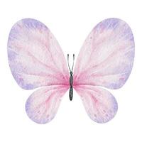 süß Rosa Schmetterling. Frühling Tier. isoliert Aquarell Illustration zum Dekoration von Kinder- Räume, Design von Pakete und Etiketten, Stoffe und Kleider vektor