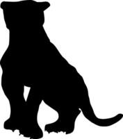 Panther Silhouette Vektor auf Weiß Hintergrund