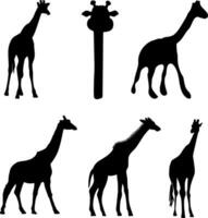 Giraffe Silhouette Vektor auf Weiß Hintergrund