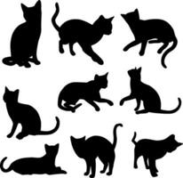 Katze Silhouette Vektor auf Weiß Hintergrund