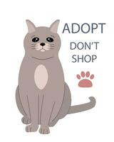djur- adoption. djur- skydd, anta, inte köpa. katt och text på en vit bakgrund. vektor