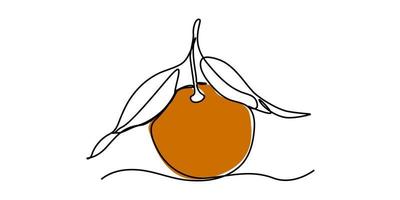 Zeichne eine durchgehende Linie aus orangefarbenen Früchten und Farbe vektor