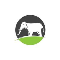 Elefant Logo Vorlage Symbol vektor