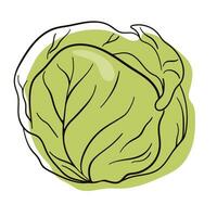 Kohl im Linie Kunst Stil. frisch und gesund Lebensmittel. Vegetarier Ernährung. organisch Zutat zum Salat. eben Vektor Symbol.