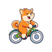 tecknad serie söt sällskapsdjur shiba inu hund ridning en cykel vektor