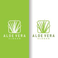 Aloe vera Logo Design einfach Illustration Gesundheit Kräuter- Pflanze Gras vektor