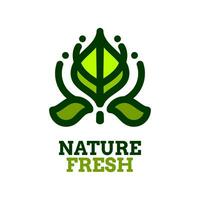 frisch Blatt Natur Logo Konzept Design Illustration vektor