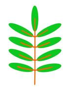 Grün tropisch Blätter Clip Kunst Satz. isoliert Elemente auf ein Weiß Hintergrund vektor