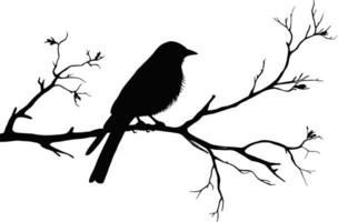 Vogel auf Ast isoliert auf Weiß Hintergrund, Vektor. Vogel Silhouette auf Baum, Illustration. minimalistisch schwarz und Weiß Kunst Design. ai generiert Illustration. vektor