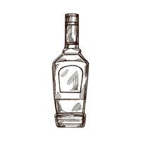 ritad för hand flaska av tequila. design element för de meny av barer och restauranger, alkohol butiker. vektor skiss illustration i gravyr stil. mexikansk, latin amerika.