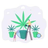 liten människor växa cannabis i krukor. växande hampa för medicinsk syften, en medicin från cannabis. färgrik vektor illustration.