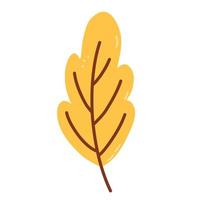 Herbst gelbes Eichenblatt isoliert auf weißem Hintergrund vektor
