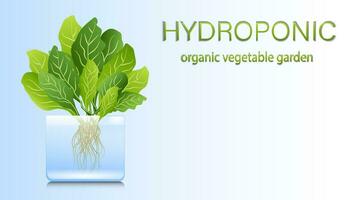 bärbar hydroponiska aeroponic systemet för miljövänligt växande av grön sallad, grönsaker och örter vektor