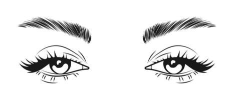 weiblich Augen mit lange Wimpern und Augenbrauen. weiblich matt sehen. Schönheit Logo, Illustration, Vektor