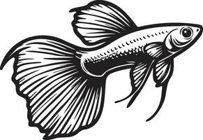 Guppy Fisch skizzieren Zeichnung. vektor