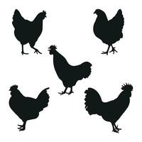 svart silhuett av en tupp ungtupp, kyckling, höna, brud, placera stående, fjäderfän silhuett hand dragen vektor