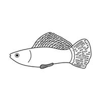 hand dragen tecknad serie vektor illustration molly fisk ikon isolerat på vit bakgrund