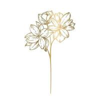 Vektor Gold Hand gezeichnet minimalistisch Blume blühen