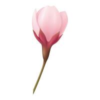 Vektor Rosa realistisch Tulpe Blumen Strauß Vektor Illustration