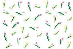 illustration av tulpaner blomma på vit bakgrund. vektor