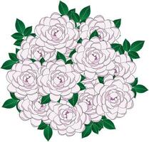 illustration av blomning rosa blomma med löv bakgrund. vektor